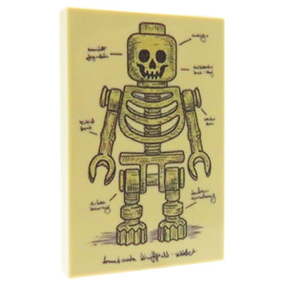 NAH Customs - Vintage medical illustration 2 anatomy chart educational poster custom printed on 2x3 LEGO tile