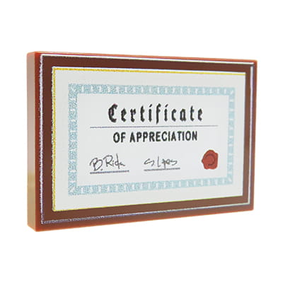 NAH Customs - Framed diploma or certificate award document custom printed on 2x3 LEGO tile