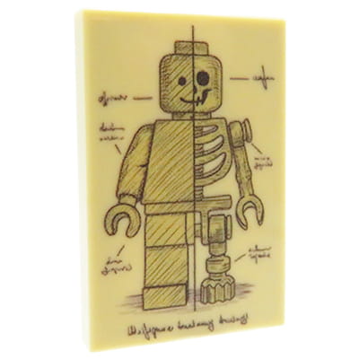 NAH Customs - Vintage medical illustration 1 anatomy chart educational poster custom printed on 2x3 LEGO tile