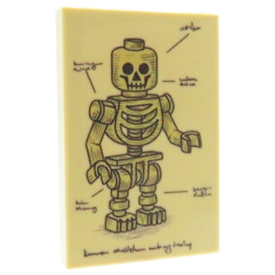 NAH Customs - Vintage medical illustration 3 anatomy chart educational poster custom printed on 2x3 LEGO tile